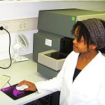 Analysing percentages of CD4 and CD8 positive cells using FACS method